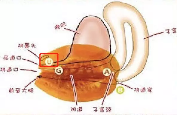 u什么时候要加两点-u 什么时候要加两点？让你头疼的小麻烦