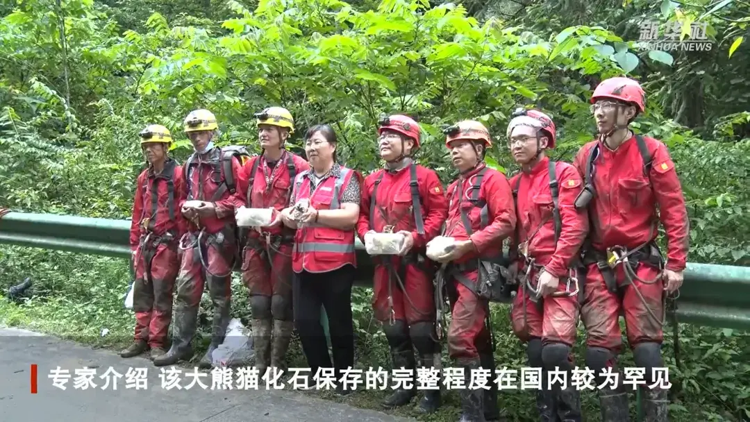 庄园游戏攻略_大空庄园道具对成分_大空庄园攻略