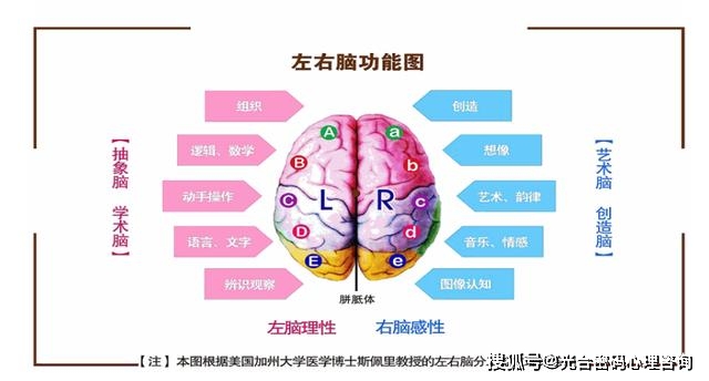 韦氏智力测试儿童_韦氏智力测试儿童_韦氏智力测试儿童